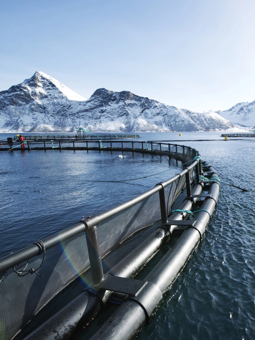 Foto johan wildhagen 2682